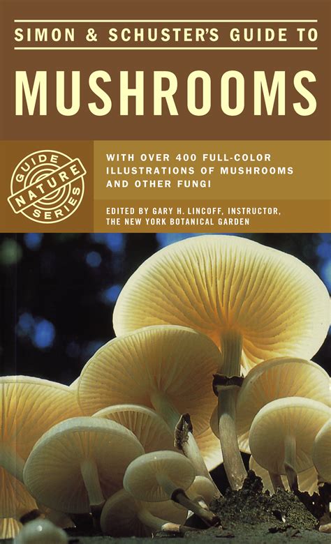 Therapeutic Escapism: Taking a Journey through 'The Spell of Mushrooms' Book